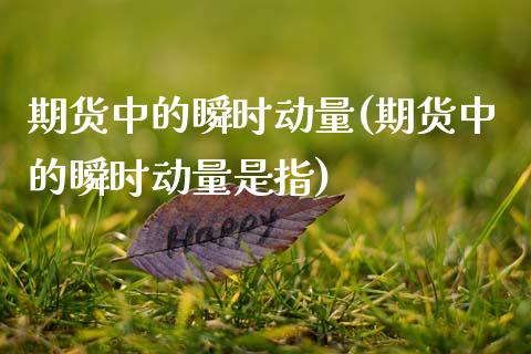 期货中的瞬时动量(期货中的瞬时动量是指)_https://qh.lansai.wang_期货怎么玩_第1张