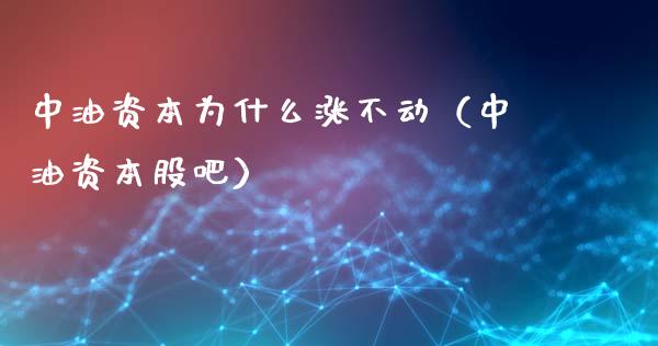 中油资本为什么涨不动（中油资本股吧）_https://qh.lansai.wang_期货喊单_第1张