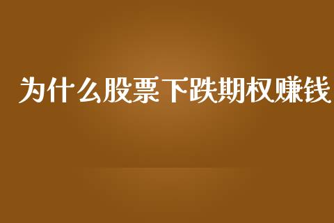 为什么股票下跌期权赚钱_https://qh.lansai.wang_期货喊单_第1张
