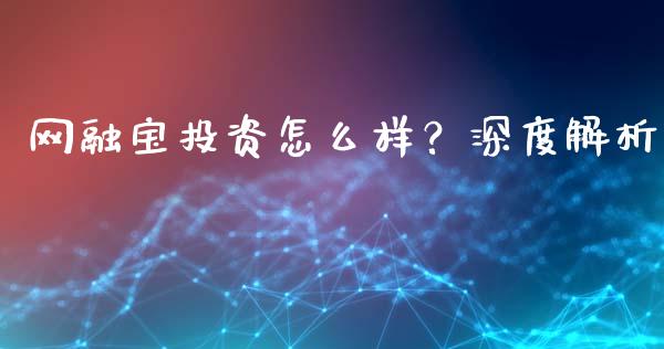 网融宝投资怎么样？深度解析_https://qh.lansai.wang_新股数据_第1张