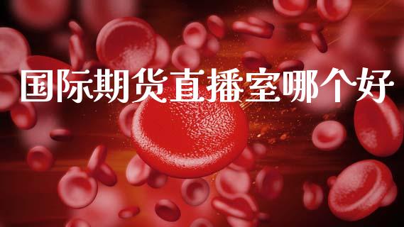 国际期货直播室哪个好_https://qh.lansai.wang_期货喊单_第1张