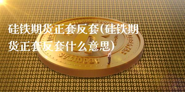 硅铁期货正套反套(硅铁期货正套反套什么意思)_https://qh.lansai.wang_期货理财_第1张