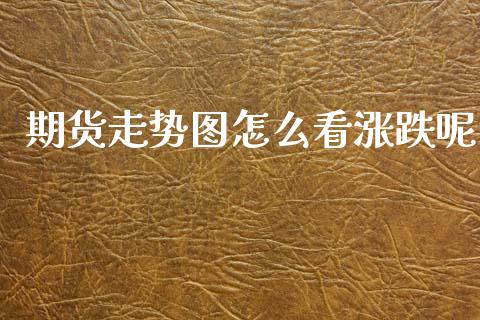 期货走势图怎么看涨跌呢_https://qh.lansai.wang_期货理财_第1张