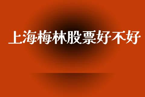 上海梅林股票好不好_https://qh.lansai.wang_期货喊单_第1张