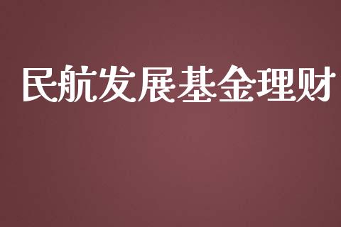 民航发展基金理财_https://qh.lansai.wang_期货理财_第1张