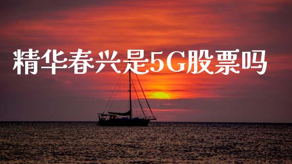 精华春兴是5G股票吗_https://qh.lansai.wang_期货喊单_第1张