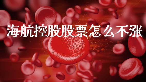海航控股股票怎么不涨_https://qh.lansai.wang_期货怎么玩_第1张