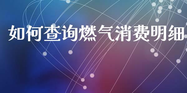 如何查询燃气消费明细_https://qh.lansai.wang_股票新闻_第1张