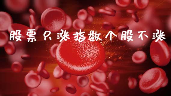 股票只涨指数个股不涨_https://qh.lansai.wang_新股数据_第1张