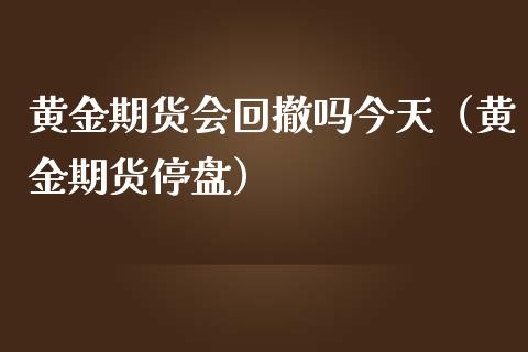 黄金期货会回撤吗今天（黄金期货停盘）_https://qh.lansai.wang_期货怎么玩_第1张