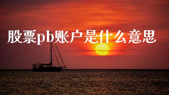 股票pb账户是什么意思_https://qh.lansai.wang_新股数据_第1张