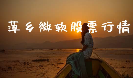 萍乡微软股票行情_https://qh.lansai.wang_新股数据_第1张