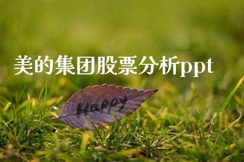 美的集团股票分析ppt_https://qh.lansai.wang_新股数据_第1张