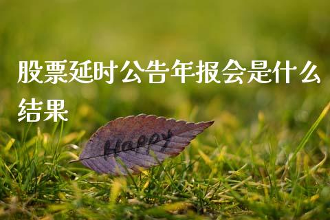 股票延时公告年报会是什么结果_https://qh.lansai.wang_期货怎么玩_第1张