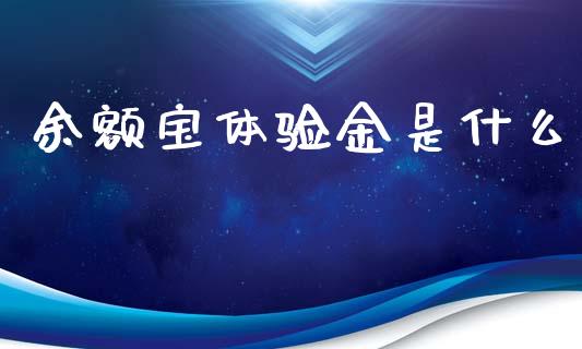 余额宝体验金是什么_https://qh.lansai.wang_期货喊单_第1张