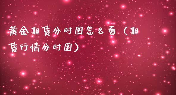 黄金期货分时图怎么看（期货行情分时图）_https://qh.lansai.wang_期货怎么玩_第1张