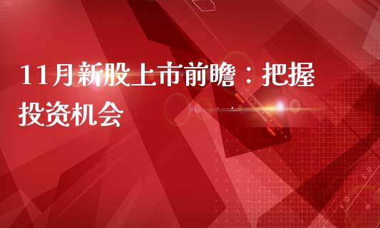 11月新股上市前瞻：把握投资机会_https://qh.lansai.wang_期货喊单_第1张