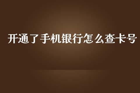 开通了手机银行怎么查卡号_https://qh.lansai.wang_股票新闻_第1张
