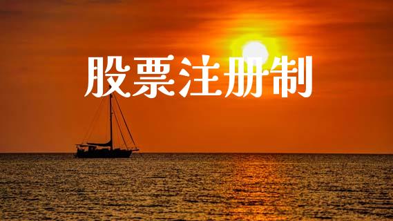 股票注册制_https://qh.lansai.wang_新股数据_第1张