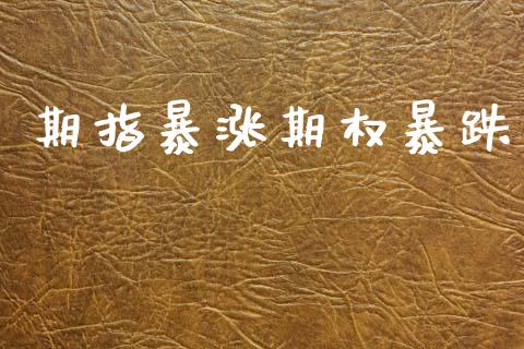 期指暴涨期权暴跌_https://qh.lansai.wang_期货怎么玩_第1张