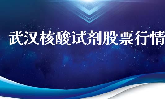 武汉核酸试剂股票行情_https://qh.lansai.wang_新股数据_第1张