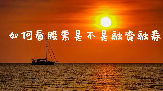 如何看股票是不是融资融券_https://qh.lansai.wang_期货理财_第1张