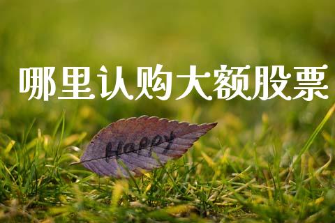 哪里认购大额股票_https://qh.lansai.wang_期货理财_第1张