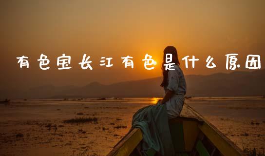 有色宝长江有色是什么原因_https://qh.lansai.wang_股票新闻_第1张