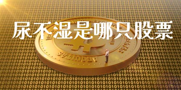 尿不湿是哪只股票_https://qh.lansai.wang_新股数据_第1张