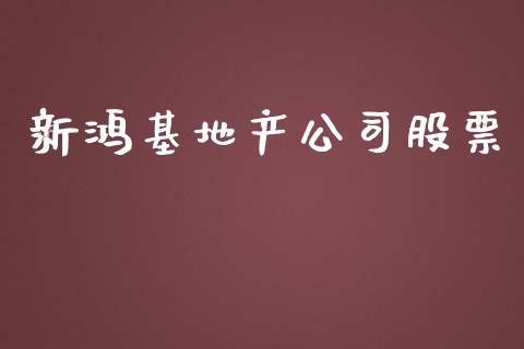 新鸿基地产公司股票_https://qh.lansai.wang_期货理财_第1张