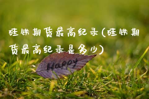 硅铁期货最高纪录(硅铁期货最高纪录是多少)_https://qh.lansai.wang_期货喊单_第1张