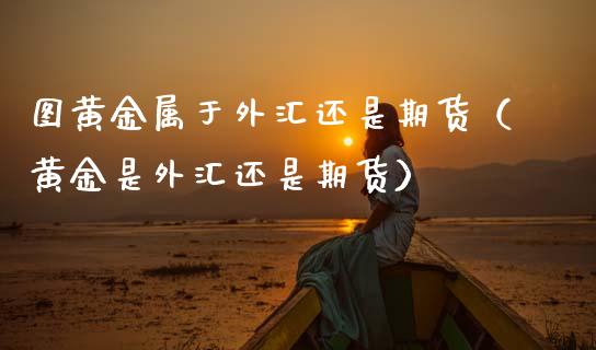 图黄金属于外汇还是期货（黄金是外汇还是期货）_https://qh.lansai.wang_期货怎么玩_第1张
