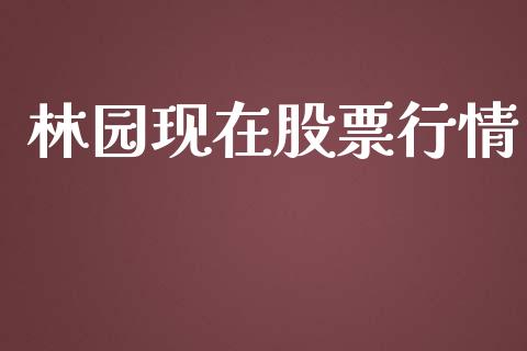 林园现在股票行情_https://qh.lansai.wang_新股数据_第1张