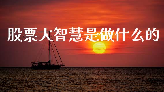 股票大智慧是做什么的_https://qh.lansai.wang_期货喊单_第1张
