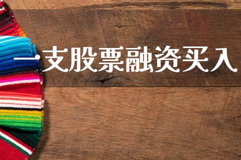 一支股票融资买入_https://qh.lansai.wang_新股数据_第1张