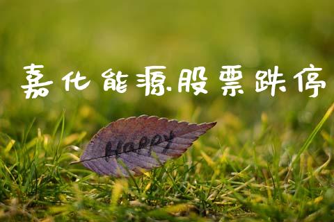 嘉化能源股票跌停_https://qh.lansai.wang_期货喊单_第1张