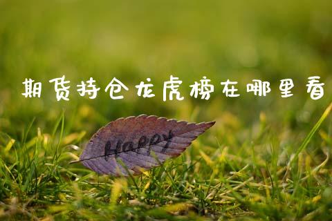 期货持仓龙虎榜在哪里看_https://qh.lansai.wang_期货理财_第1张