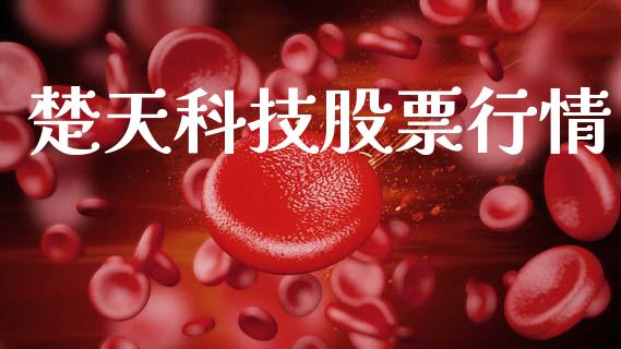 楚天科技股票行情_https://qh.lansai.wang_新股数据_第1张