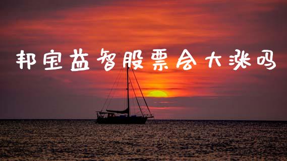 邦宝益智股票会大涨吗_https://qh.lansai.wang_期货理财_第1张