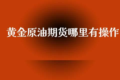 黄金原油期货哪里有操作_https://qh.lansai.wang_期货怎么玩_第1张