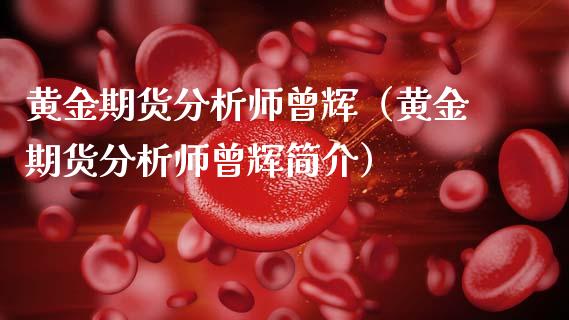 黄金期货分析师曾辉（黄金期货分析师曾辉简介）_https://qh.lansai.wang_期货理财_第1张