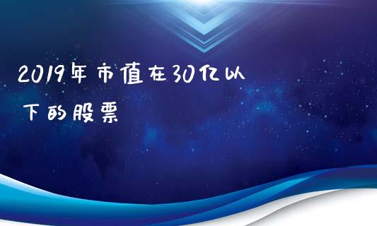 2019年市值在30亿以下的股票_https://qh.lansai.wang_期货怎么玩_第1张