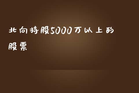 北向持股5000万以上的股票_https://qh.lansai.wang_期货理财_第1张