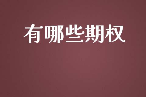 有哪些期权_https://qh.lansai.wang_股票技术分析_第1张