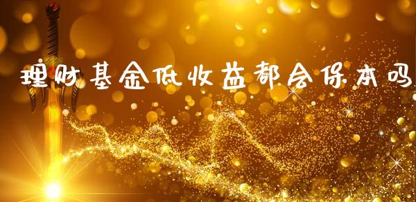 理财基金低收益都会保本吗_https://qh.lansai.wang_期货理财_第1张