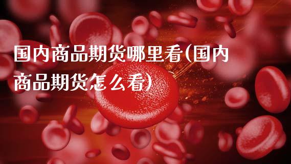国内商品期货哪里看(国内商品期货怎么看)_https://qh.lansai.wang_期货怎么玩_第1张