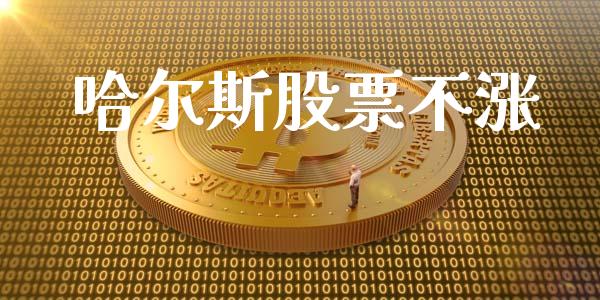 哈尔斯股票不涨_https://qh.lansai.wang_新股数据_第1张