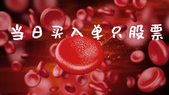 当日买入单只股票_https://qh.lansai.wang_期货理财_第1张