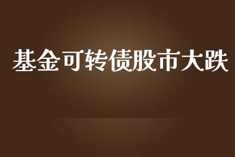 基金可转债股市大跌_https://qh.lansai.wang_期货理财_第1张