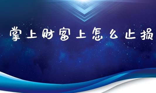 掌上财富上怎么止损_https://qh.lansai.wang_期货怎么玩_第1张
